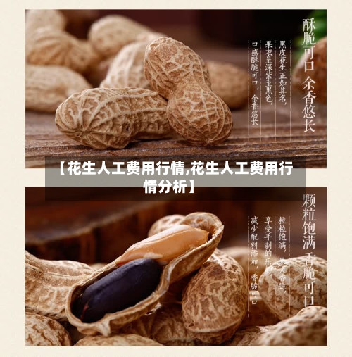 【花生人工费用行情,花生人工费用行情分析】-第3张图片