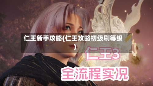 仁王新手攻略(仁王攻略初级刷等级)-第2张图片