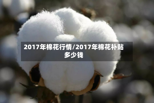2017年棉花行情/2017年棉花补贴多少钱-第1张图片