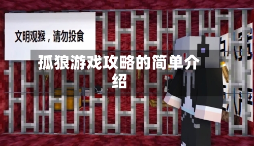 孤狼游戏攻略的简单介绍-第3张图片
