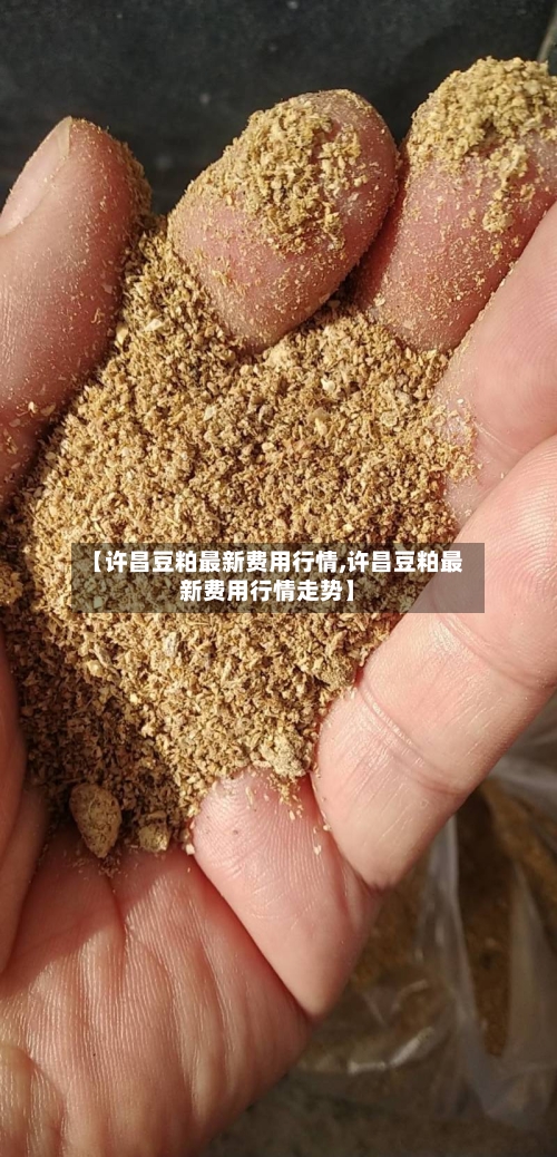 【许昌豆粕最新费用行情,许昌豆粕最新费用行情走势】