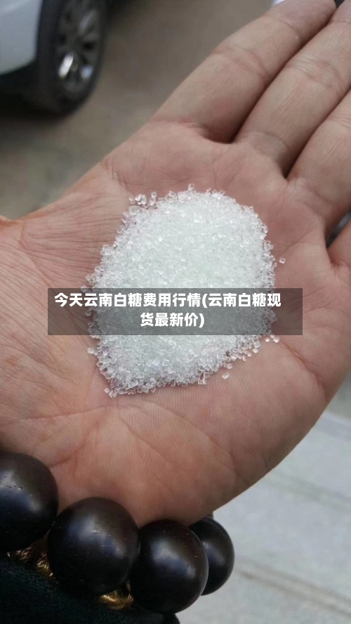 今天云南白糖费用行情(云南白糖现货最新价)