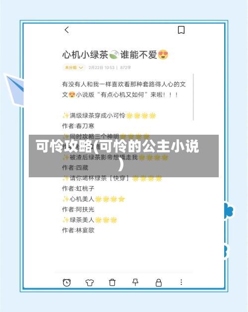 可怜攻略(可怜的公主小说)