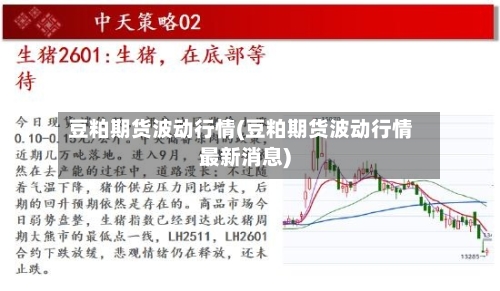 豆粕期货波动行情(豆粕期货波动行情最新消息)-第3张图片