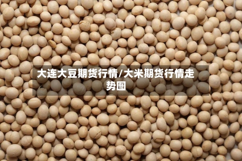 大连大豆期货行情/大米期货行情走势图