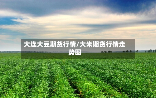 大连大豆期货行情/大米期货行情走势图-第2张图片