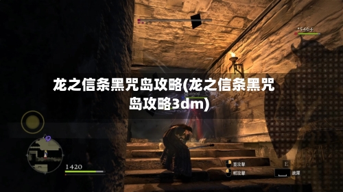 龙之信条黑咒岛攻略(龙之信条黑咒岛攻略3dm)-第3张图片