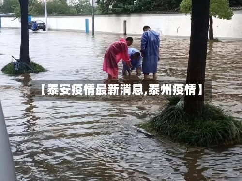 【泰安疫情最新消息,泰州疫情】