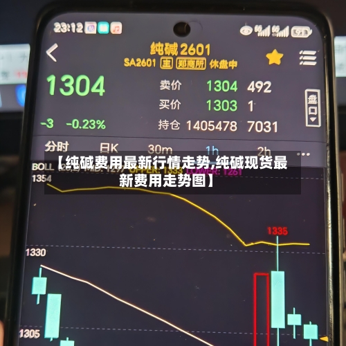 【纯碱费用最新行情走势,纯碱现货最新费用走势图】