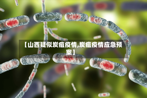【山西疑似炭疽疫情,炭疽疫情应急预案】-第2张图片