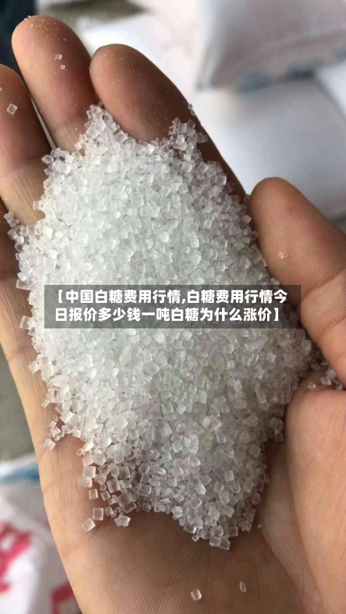 【中国白糖费用行情,白糖费用行情今日报价多少钱一吨白糖为什么涨价】-第2张图片