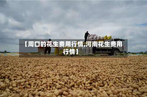 【周口的花生费用行情,河南花生费用行情】-第2张图片