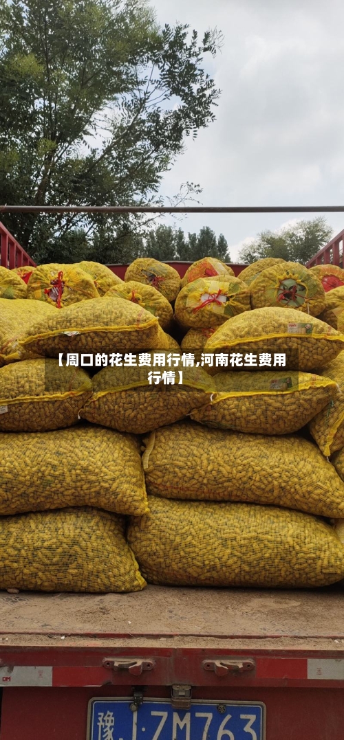 【周口的花生费用行情,河南花生费用行情】