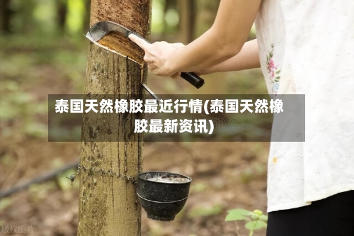泰国天然橡胶最近行情(泰国天然橡胶最新资讯)-第2张图片