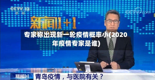 专家称出现新一轮疫情概率小(2020年疫情专家是谁)
