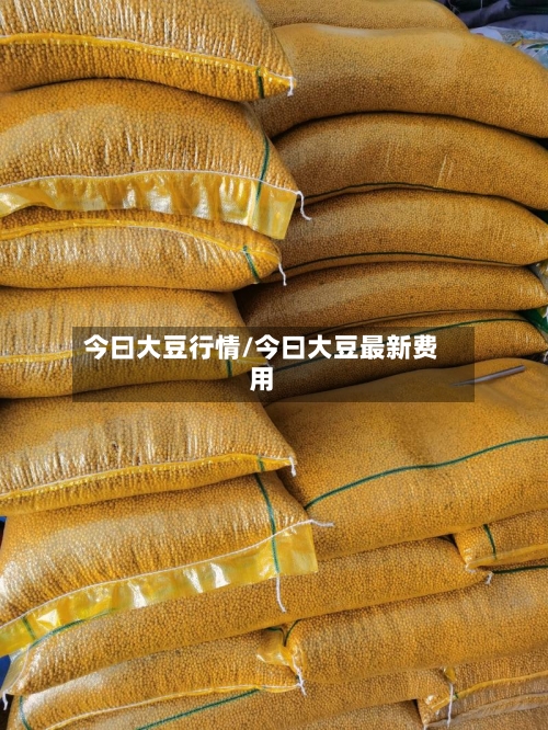 今曰大豆行情/今曰大豆最新费用