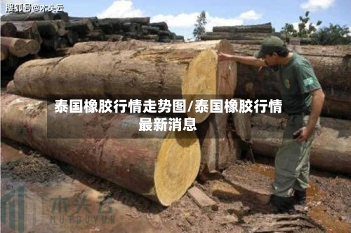 泰国橡胶行情走势图/泰国橡胶行情最新消息-第2张图片