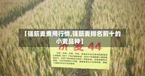【强筋麦费用行情,强筋麦排名前十的小麦品种】-第2张图片