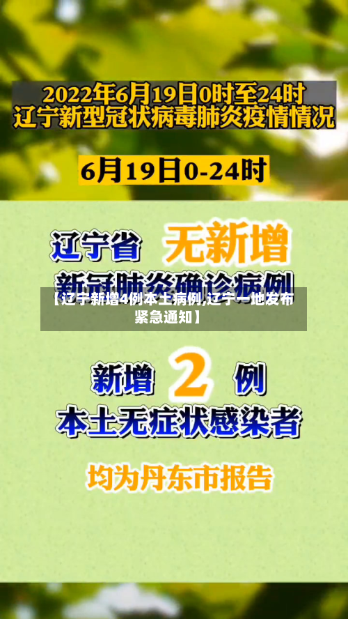 【辽宁新增4例本土病例,辽宁一地发布紧急通知】-第3张图片