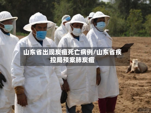 山东省出现炭疽死亡病例/山东省疾控局预案肺炭疽-第2张图片