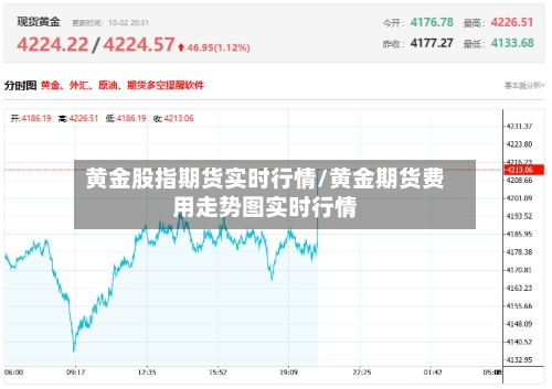 黄金股指期货实时行情/黄金期货费用走势图实时行情-第2张图片