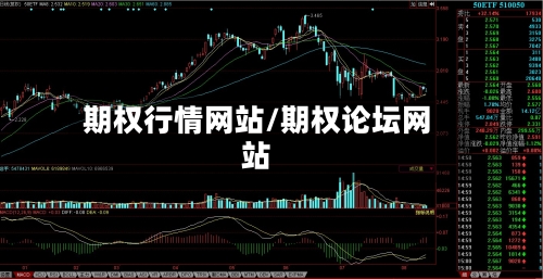 期权行情网站/期权论坛网站