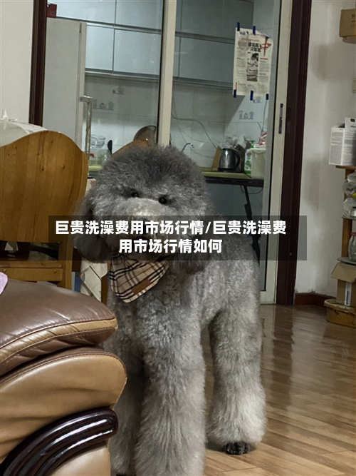 巨贵洗澡费用市场行情/巨贵洗澡费用市场行情如何