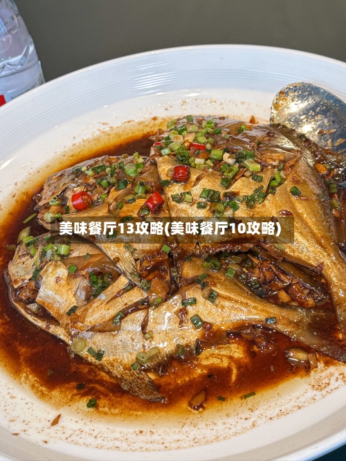 美味餐厅13攻略(美味餐厅10攻略)