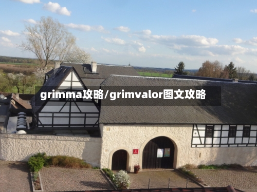 grimma攻略/grimvalor图文攻略