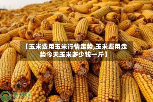 【玉米费用玉米行情走势,玉米费用走势今天玉米多少钱一斤】