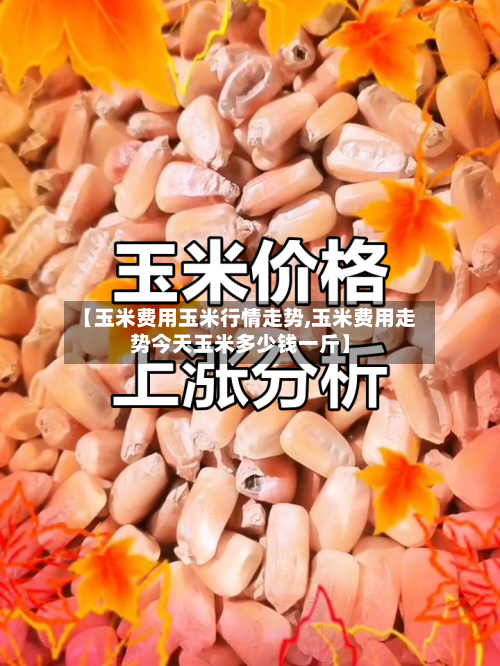 【玉米费用玉米行情走势,玉米费用走势今天玉米多少钱一斤】-第2张图片