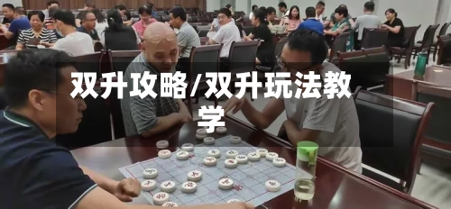 双升攻略/双升玩法教学