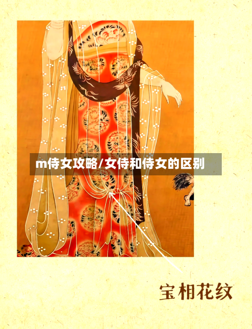 m侍女攻略/女侍和侍女的区别-第3张图片