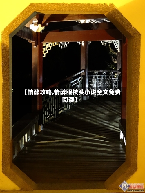 【情醉攻略,情醉眠枝头小说全文免费阅读】
