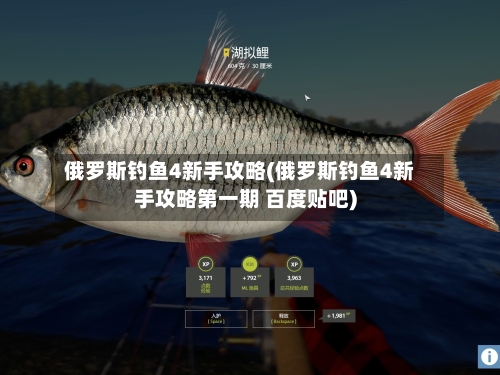俄罗斯钓鱼4新手攻略(俄罗斯钓鱼4新手攻略第一期 百度贴吧)-第2张图片