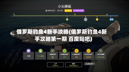 俄罗斯钓鱼4新手攻略(俄罗斯钓鱼4新手攻略第一期 百度贴吧)