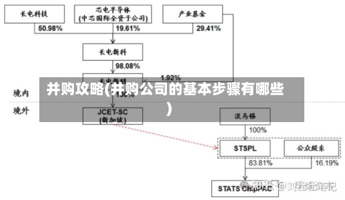 并购攻略(并购公司的基本步骤有哪些)