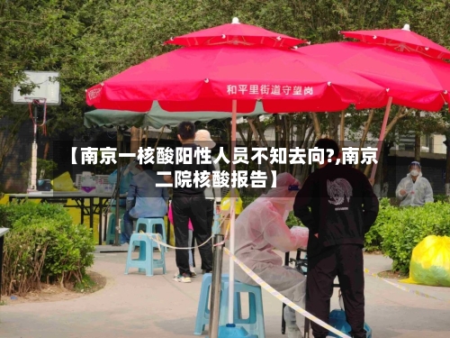【南京一核酸阳性人员不知去向?,南京二院核酸报告】-第2张图片