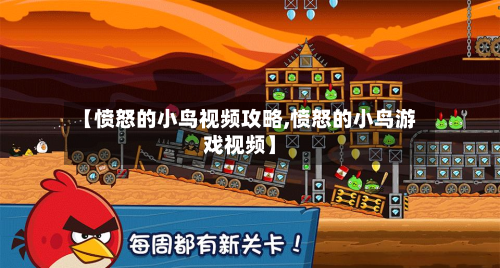 【愤怒的小鸟视频攻略,愤怒的小鸟游戏视频】-第2张图片