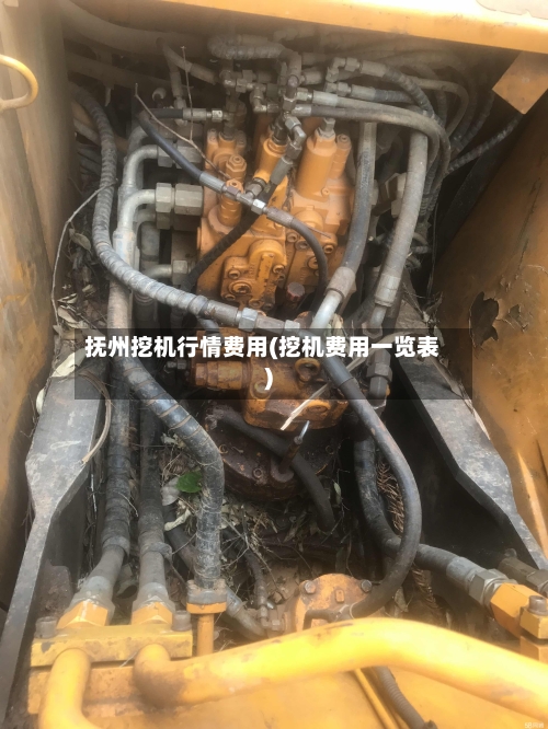 抚州挖机行情费用(挖机费用一览表)