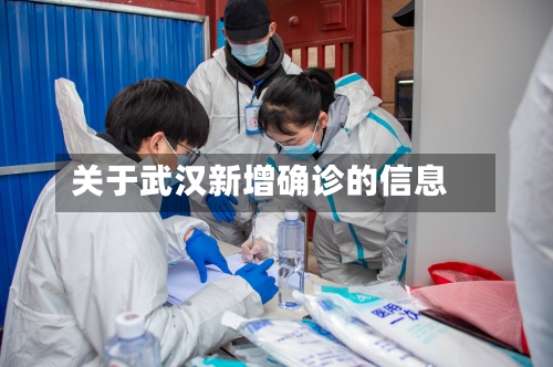 关于武汉新增确诊的信息-第2张图片