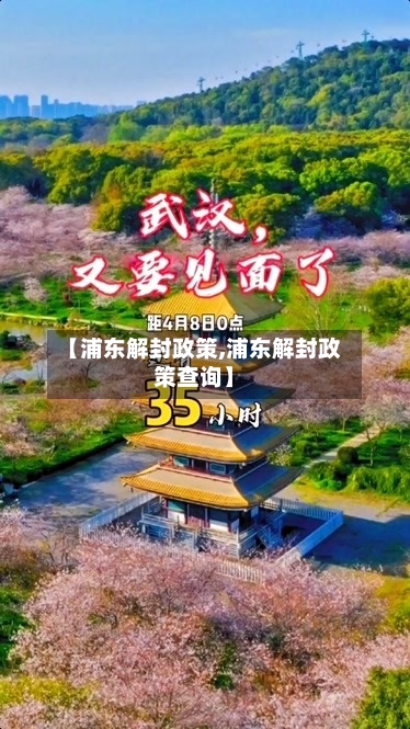 【浦东解封政策,浦东解封政策查询】-第3张图片