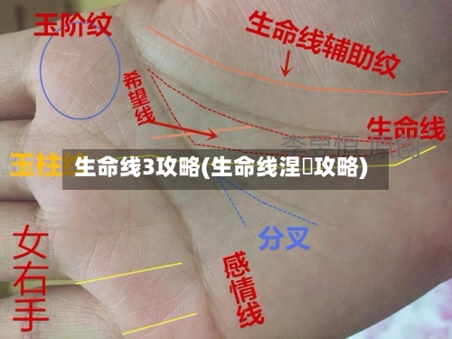 生命线3攻略(生命线涅槃攻略)