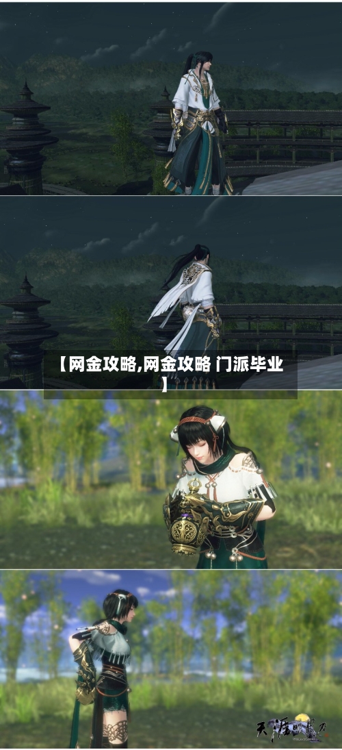 【网金攻略,网金攻略 门派毕业】-第2张图片