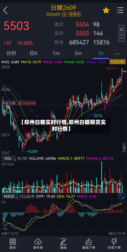 【郑州白糖实时行情,郑州白糖期货实时行情】