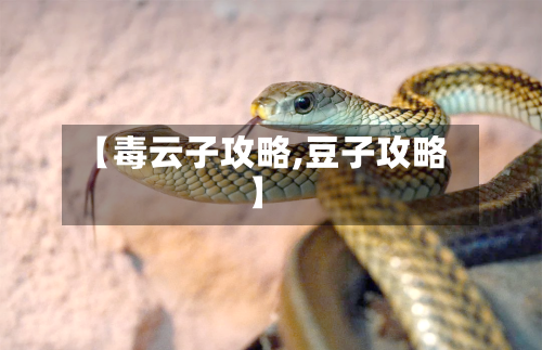 【毒云子攻略,豆子攻略】