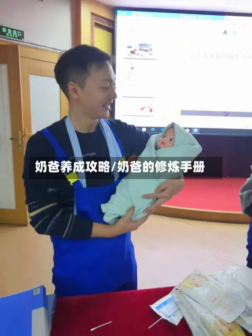 奶爸养成攻略/奶爸的修炼手册