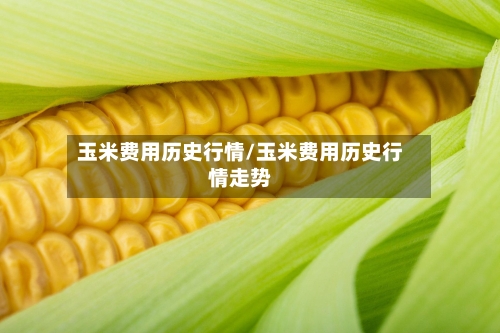 玉米费用历史行情/玉米费用历史行情走势