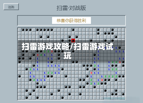 扫雷游戏攻略/扫雷游戏试玩-第2张图片