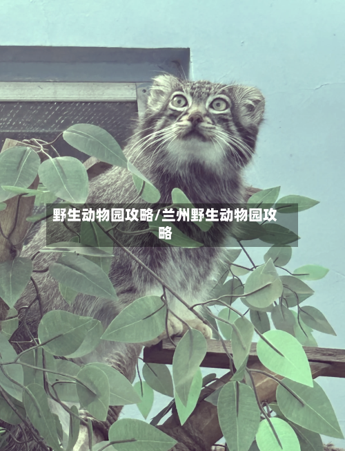 野生动物园攻略/兰州野生动物园攻略